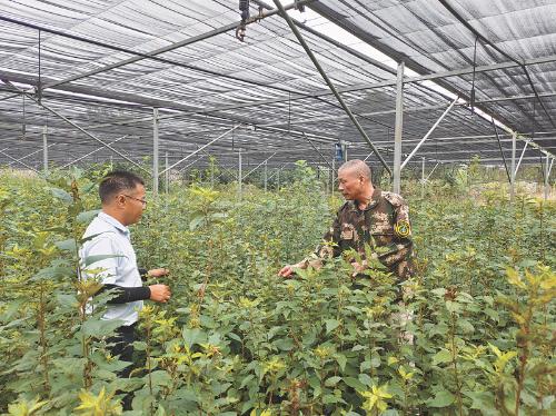 全国绿化劳动模范 坚守只为荒山披 绿装 记全国绿化劳动模范余建国