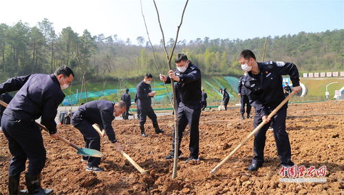 广德 义务植树添新绿安徽公安 中国警察网