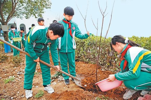 河南省2021年造林任务完成过半