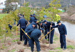 3.12 植树节添新绿 舟山节后新栽种苗木50余万株